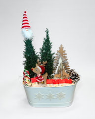 Rudolph's Red Wonderland