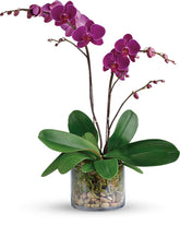 Standard